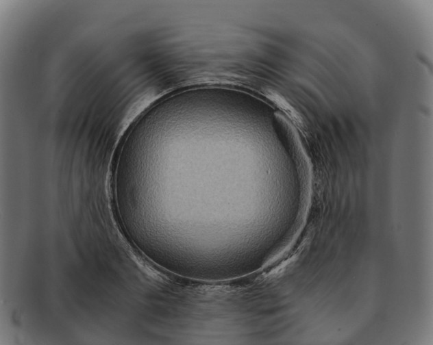 X0000091680893200709131545