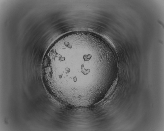 X0000091680895200709131545