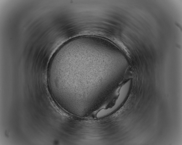 X0000091680896200709131545