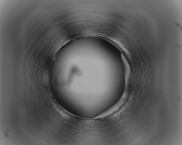 X0000091680897200709131545