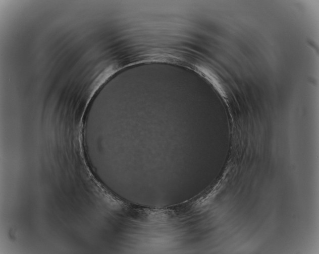 X0000091680899200709131545