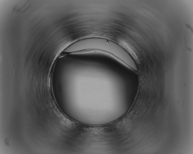 X0000091680900200709131545