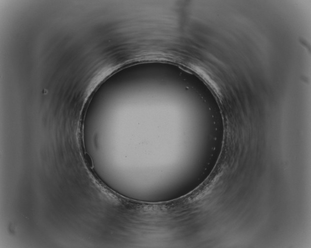 X0000091680901200709131545