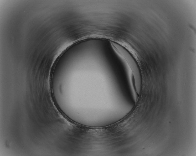 X0000091680902200709131545