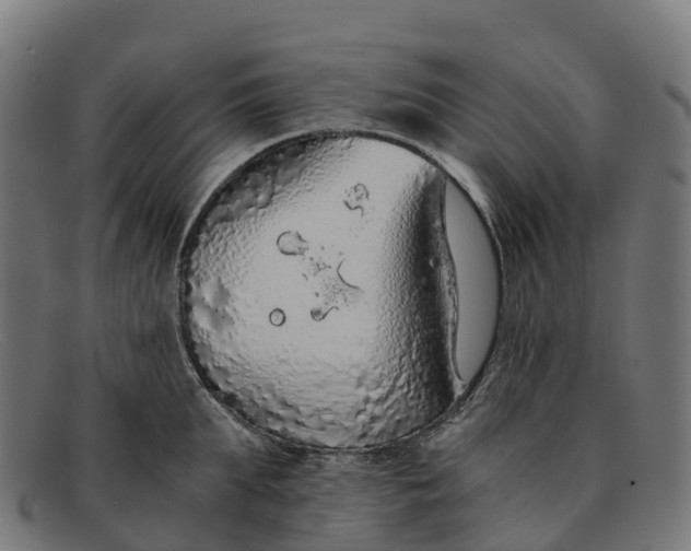 X0000091680903200709131545