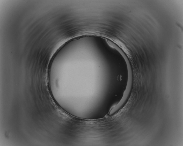 X0000091680904200709131545