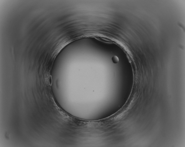 X0000091680905200709131545