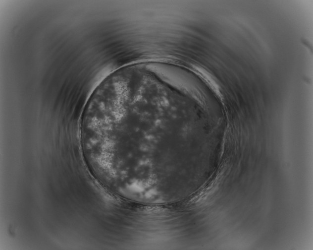 X0000091680907200709131545