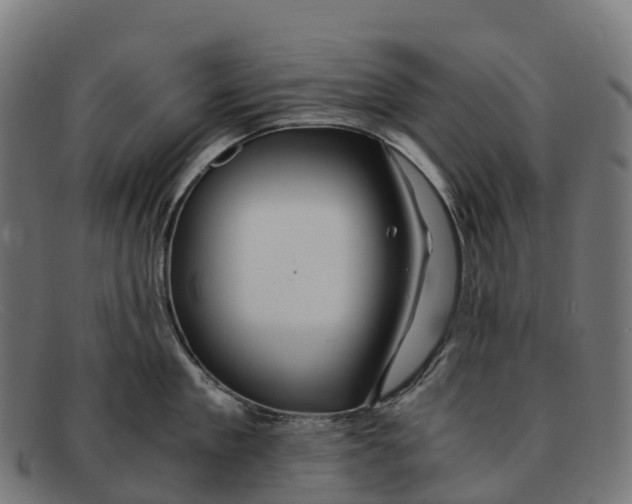 X0000091680909200709131545