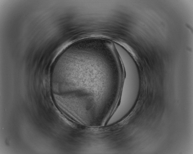 X0000091680910200709131545