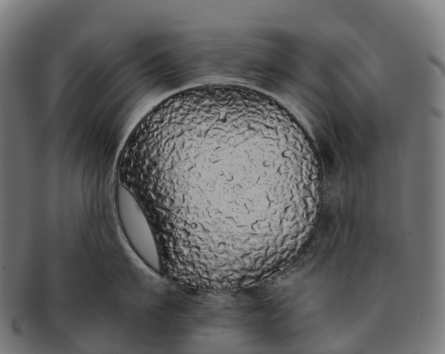 X0000091680911200709131545