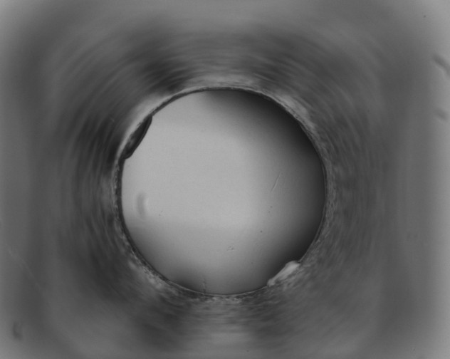 X0000091680912200709131545