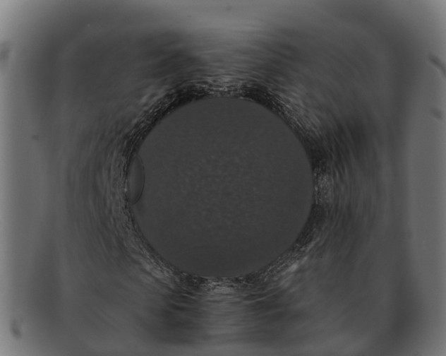 X0000091680913200709131544