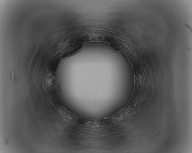 X0000091680914200709131544