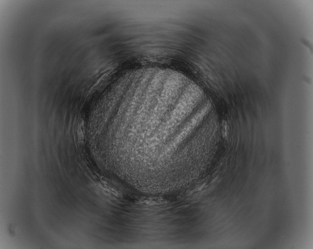 X0000091680915200709131544