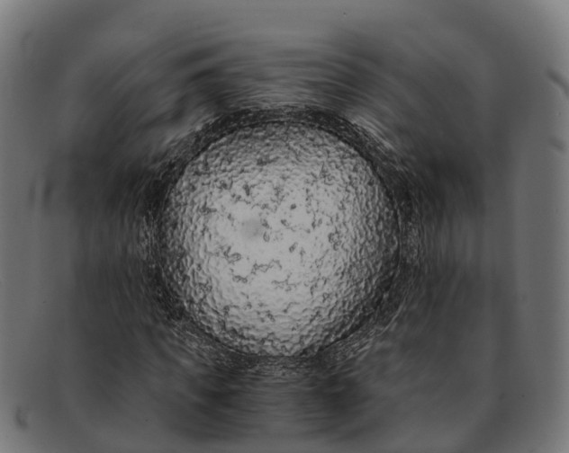 X0000091680917200709131544