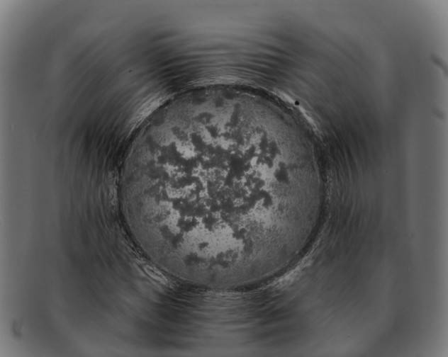 X0000091680921200709131545