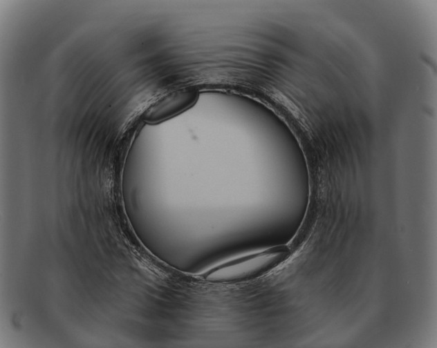 X0000091680922200709131545