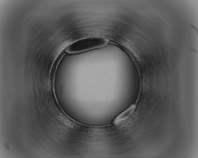 X0000091680924200709131545