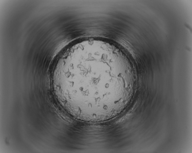 X0000091680925200709131545