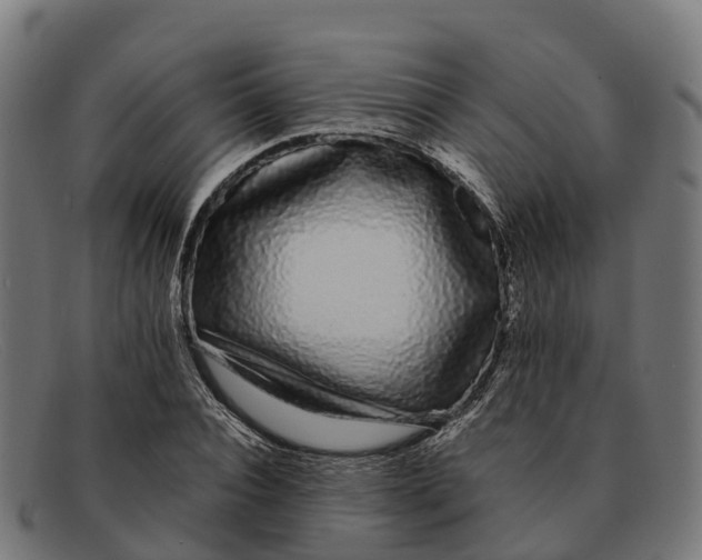 X0000091680928200709131545