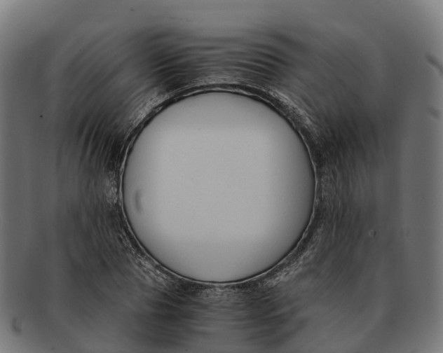 X0000091680929200709131545