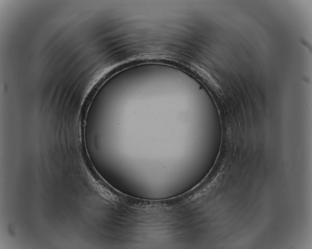 X0000091680934200709131545