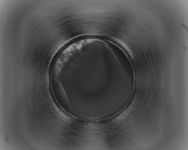 X0000091680935200709131545