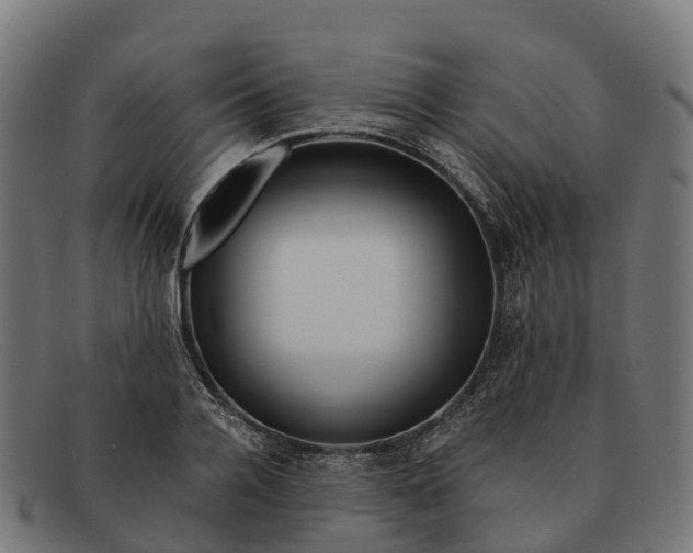 X0000091680936200709131545