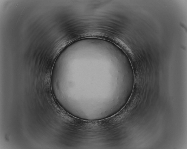 X0000091680937200709131545