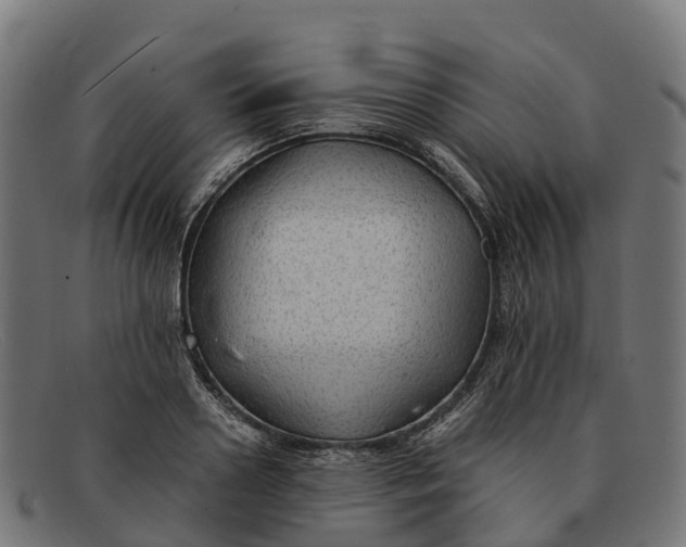 X0000091680938200709131545