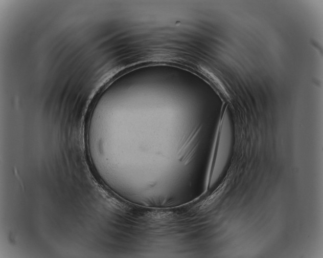 X0000091680939200709131545