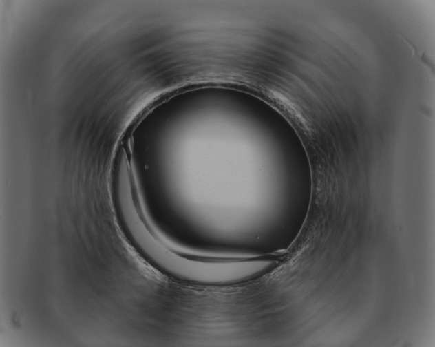 X0000091680942200709131545