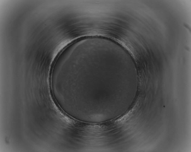 X0000091680943200709131545