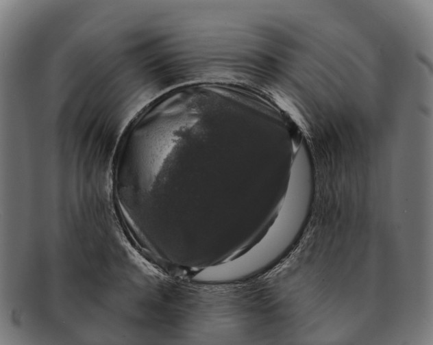 X0000091680944200709131545