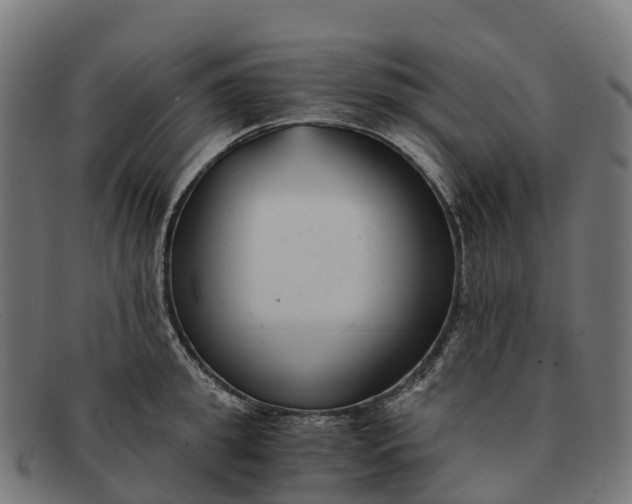 X0000091680949200709131545