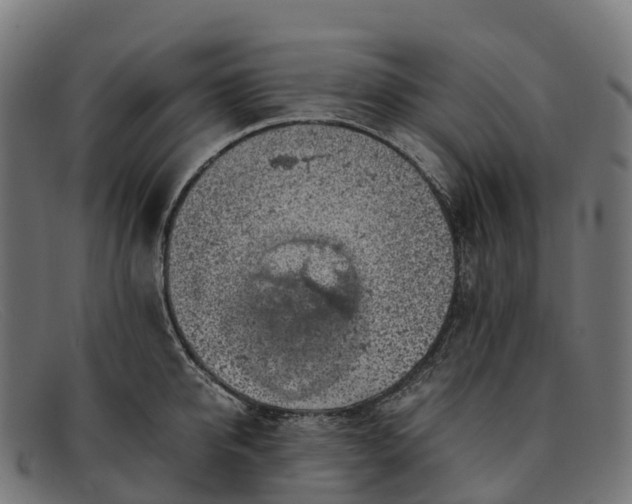 X0000091680950200709131545