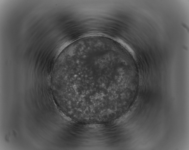 X0000091680953200709131545