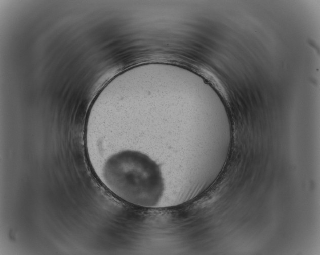 X0000091680954200709131545