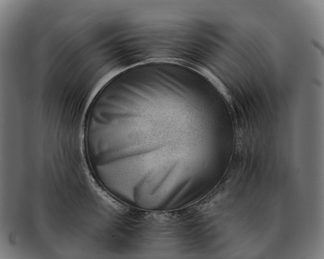 X0000091680955200709131545