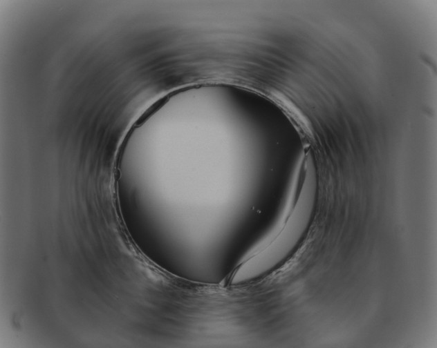 X0000091680956200709131545