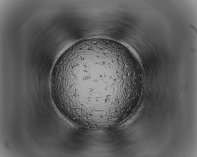 X0000091680957200709131545