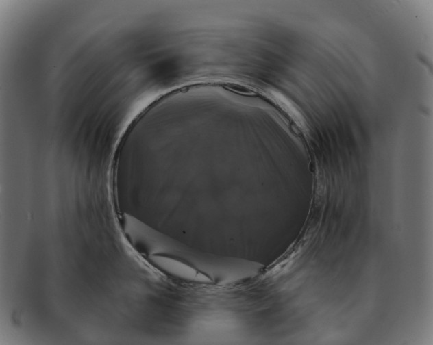 X0000091680958200709131545