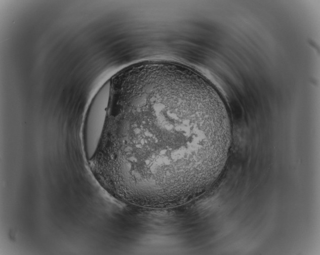 X0000091680959200709131545