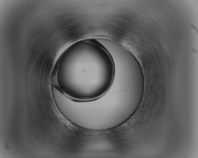 X0000091680960200709131545