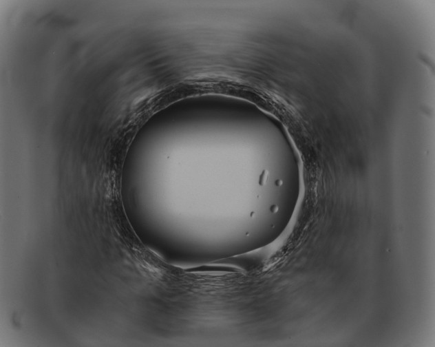 X0000091680965200709131544