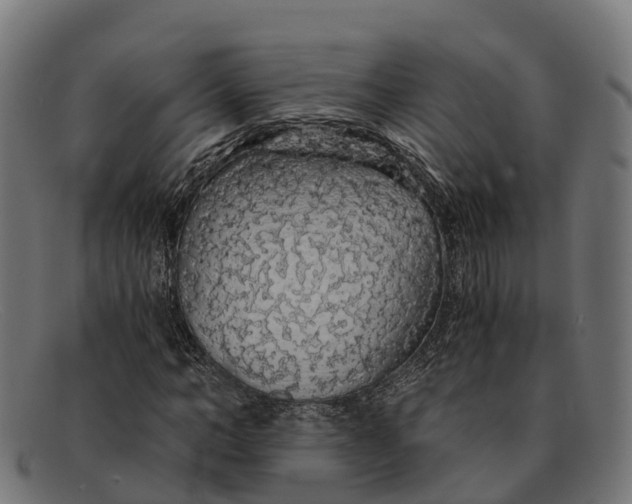 X0000091680966200709131544