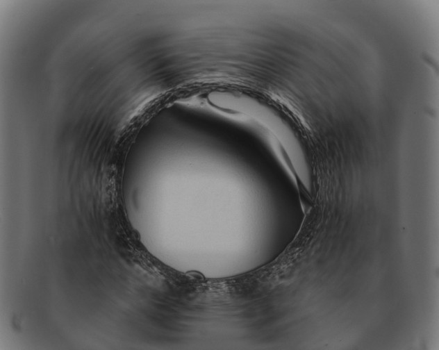 X0000091680968200709131544