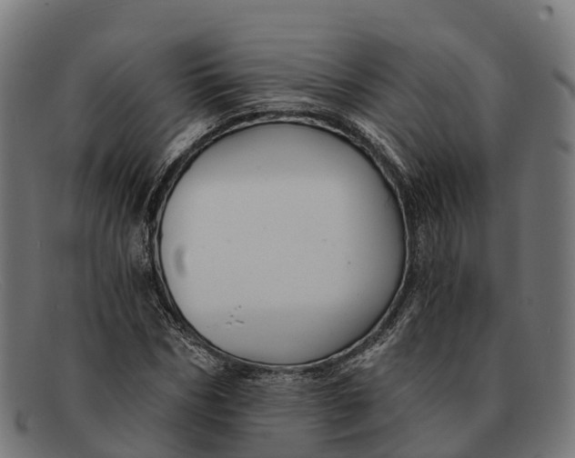 X0000091680970200709131544