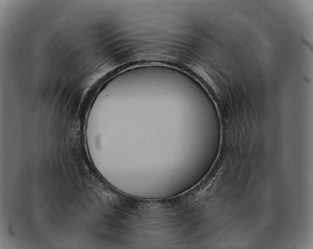 X0000091680971200709131544